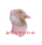 プリンスなころんちゃん（個別スタンプ：2）