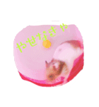プリンスなころんちゃん（個別スタンプ：8）