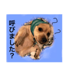 雑種の犬のクッキー（個別スタンプ：6）