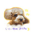 lovechama（個別スタンプ：1）