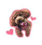 lovechama（個別スタンプ：4）