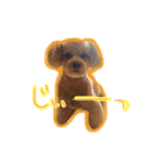 lovechama（個別スタンプ：6）