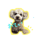 lovechama（個別スタンプ：7）