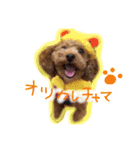 lovechama（個別スタンプ：8）