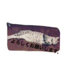 うちのリンくん（個別スタンプ：11）