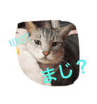 うちのリンくん（個別スタンプ：14）