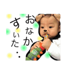 はるキング（個別スタンプ：14）