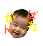 うちのこ陽菜ちゃんパート2（個別スタンプ：12）