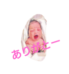 すみかです（個別スタンプ：9）