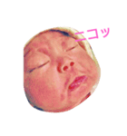 すみかです（個別スタンプ：14）