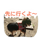 lei_for everyday use（個別スタンプ：2）