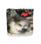 lei_for everyday use（個別スタンプ：6）
