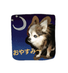 lei_for everyday use（個別スタンプ：7）