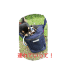 lei_for everyday use（個別スタンプ：8）