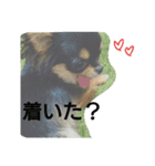 lei_for everyday use（個別スタンプ：9）