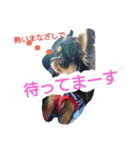 lei_for everyday use（個別スタンプ：10）