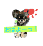 lei_for everyday use（個別スタンプ：12）