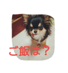 lei_for everyday use（個別スタンプ：13）