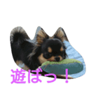 lei_for everyday use（個別スタンプ：14）