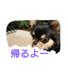 lei_for everyday use（個別スタンプ：15）