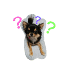 lei_for everyday use（個別スタンプ：16）