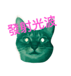 Money ＆ One（個別スタンプ：1）
