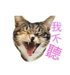 Money ＆ One（個別スタンプ：3）