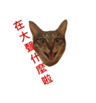 Money ＆ One（個別スタンプ：6）