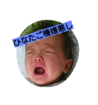 hinatanonichijou（個別スタンプ：6）