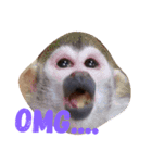 petpetpet（個別スタンプ：8）