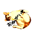 三毛猫おかき（個別スタンプ：5）