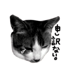 三毛猫おかき（個別スタンプ：7）