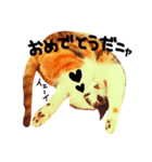 三毛猫おかき（個別スタンプ：15）