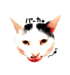 ぶち猫麿(まろ)（個別スタンプ：15）