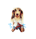 ちょこたのすたんぷ（個別スタンプ：1）