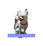 森祥二郎（個別スタンプ：7）