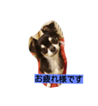 ココロンとその家族（個別スタンプ：2）