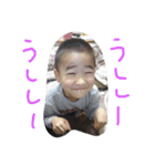 ココロンとその家族（個別スタンプ：14）