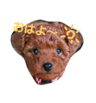ふくゆめるんの楽しい毎日（個別スタンプ：1）