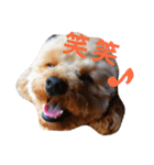 ふくゆめるんの楽しい毎日（個別スタンプ：5）