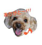 ふくゆめるんの楽しい毎日（個別スタンプ：6）