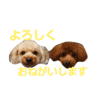 ふくゆめるんの楽しい毎日（個別スタンプ：17）