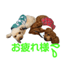 ふくゆめるんの楽しい毎日（個別スタンプ：19）