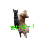 ふくゆめるんの楽しい毎日（個別スタンプ：23）