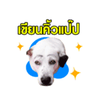 Mylifeofmyheart（個別スタンプ：1）