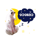 Mylifeofmyheart（個別スタンプ：3）