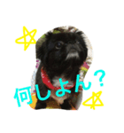 こなたむ①（個別スタンプ：1）