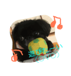 こなたむ①（個別スタンプ：2）