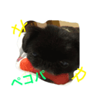 こなたむ①（個別スタンプ：4）