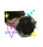 こなたむ①（個別スタンプ：5）